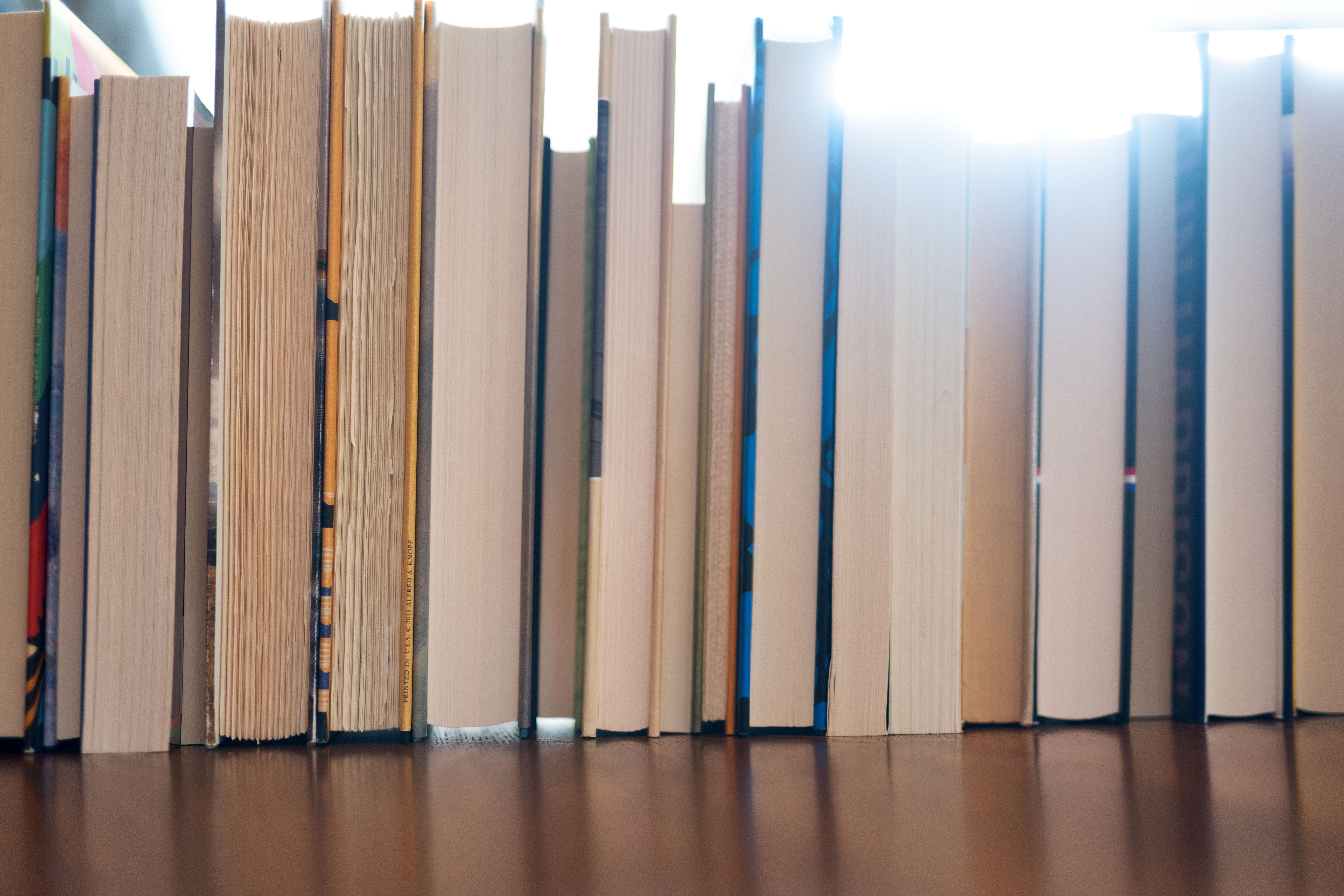 Bookshelf lined with books